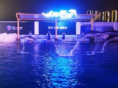 -三亚海昌梦幻海洋不夜城