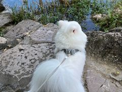 -贵阳市花溪国家城市湿地公园