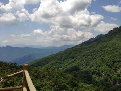 -牛背梁国家森林公园