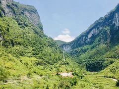 -武陵山森林公园