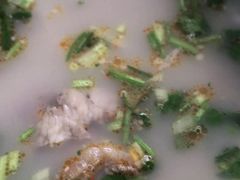 -菏泽香正府红羊汤(和润幸福城店)
