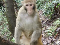 -黔灵山公园
