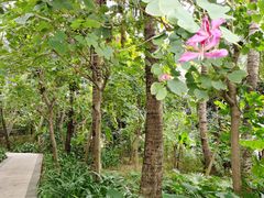 -三亚湾海居铂尔曼度假酒店