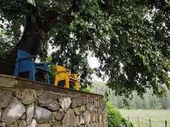 -紫海香堤香草艺术庄园