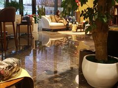 -莲之花口腔(越秀财富广场店)