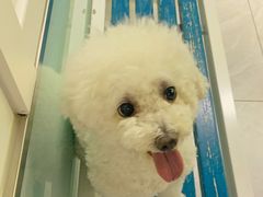 -达爱动物医院·犬猫分区·CT·复杂眼科(远洋山水分院)