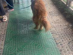 -安吉龙王山峡谷漂流