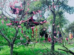-南汇桃花村