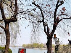 -济南大明湖景区