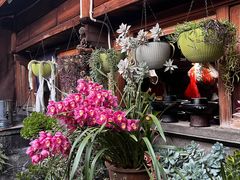 -龙姐私房菜(和顺古镇店)