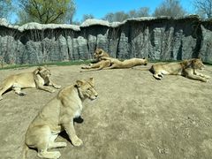 -北京野生动物园