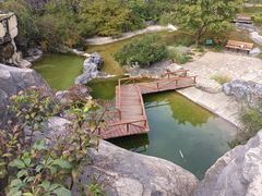 -上海吴淞炮台湾国家湿地公园