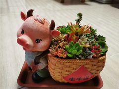-森隆饭庄(崇文门新世界百货店)