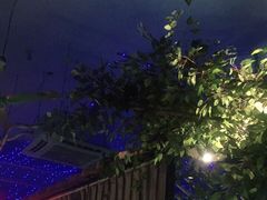 -东直门小院烧烤(回龙观东大街店)