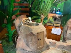 -酷嗒动物文化乐园(cutezoo西溪乐天城店)