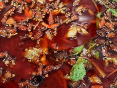 -老表牌·蛙蛙鸡冷锅鱼(成都东站店)