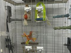 -弓舍射箭俱乐部(高新总店)