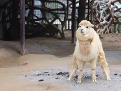 -杭州野生动物世界
