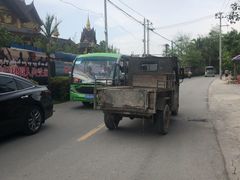 -西双版纳傣族园