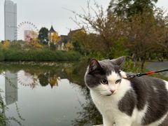-成都南湖公园