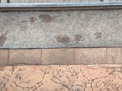 -美的鹭湖探索王国