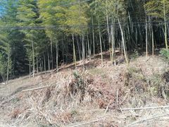 -北仑森林植物园