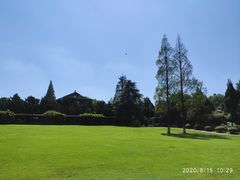 -紫金山山顶公园