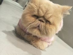 -小时光咖啡馆(开森度假森林店)