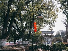 -雨花胜境