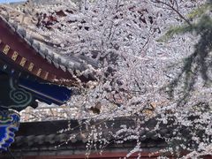 -西安市广仁寺