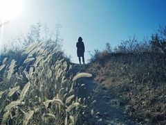 -蟠龙山长城景区