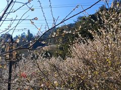 -广东天露山旅游度假区