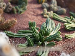 -南通洲际绿博园