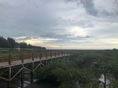 -北海金海湾红树林生态旅游区