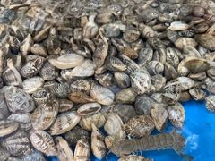 -鑫渔港海鲜本地菜·山海关浑锅(东戴河店)
