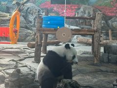 -武汉动物园