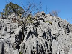 -千岛湖石林