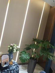 点击看大图 -苑苑vbeauty科技美容SPA