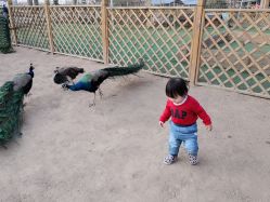 -萌宠亲子动物乐园(槐房万达店)