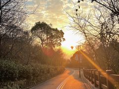 -杭州半山国家森林公园