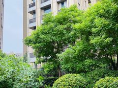 -和平区健康主题公园