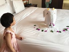 -三亚亚龙湾雅高铂尔曼别墅度假酒店
