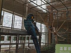 -南宫五洲植物乐园