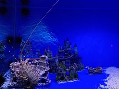 -上海海昌海洋公园