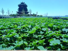 -重元寺香积厨素斋馆