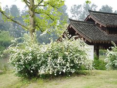 -杭州植物园