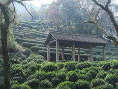 -西湖风景区十里琅珰-五云山