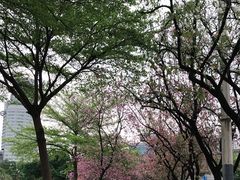 -荔湾湖公园