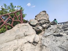 -北京西山国家森林公园