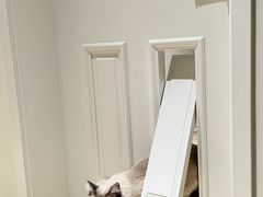 -星杰国际设计 别墅大宅装修(虹桥分公司)